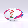 Welsh Rugby G-TR6000 Admiral Training Ball
