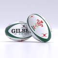Welsh Rugby G-TR8000 Training Ball