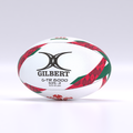 Welsh Rugby G-TR6000 Training Ball