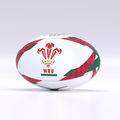 Welsh Rugby G-TR6000 Training Ball