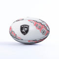Sharks Supporter Ball