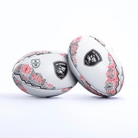 Sharks Supporter Ball