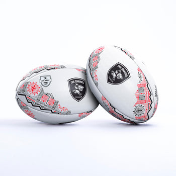 Sharks Supporter Ball