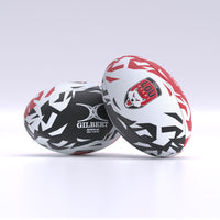 Lyon Supporter Ball