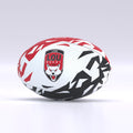 Lyon Supporter Ball