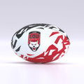Lyon Supporter Ball