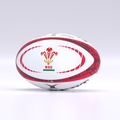 Wales Innovo Match Ball