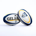 Colomiers Replica Ball
