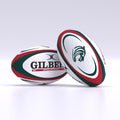 RDCE26Replica Balls - BALL REP LEICESTER 26 MINI-2