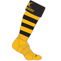 rcef13socks kryten ii sock hooped amber.png