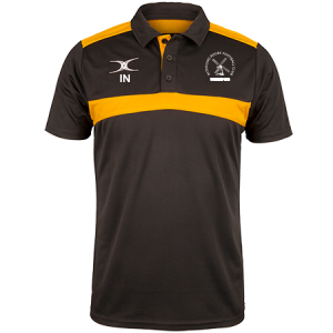 rcfi18001polo photon mens polo black & gold front.png