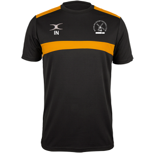 rcfk18001tee photon mens tee black & gold front.png